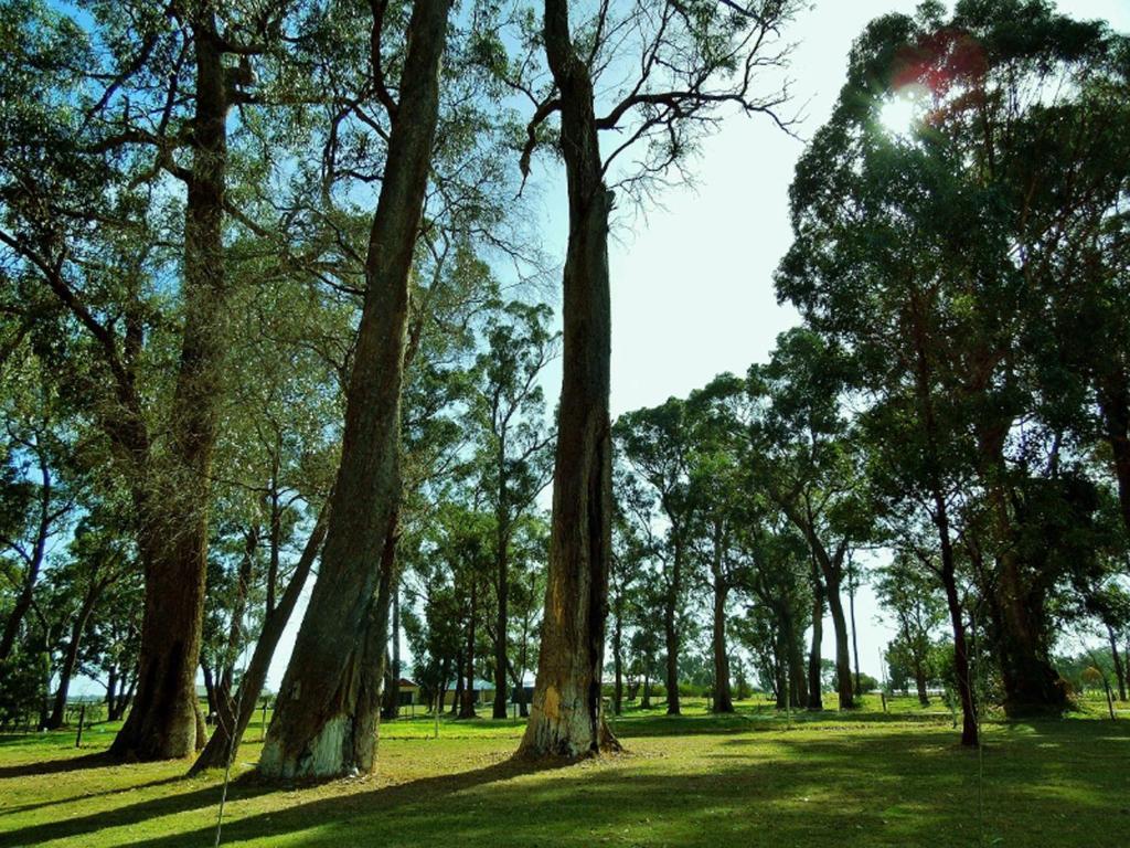 Inn The Tuarts Guest Lodge Busselton Accommodation - Adults Only Exteriör bild