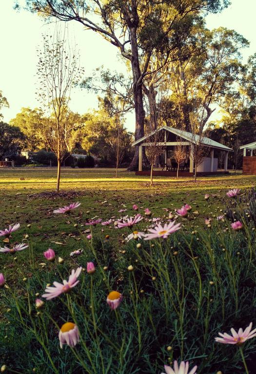 Inn The Tuarts Guest Lodge Busselton Accommodation - Adults Only Exteriör bild