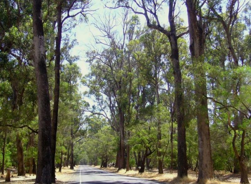 Inn The Tuarts Guest Lodge Busselton Accommodation - Adults Only Exteriör bild